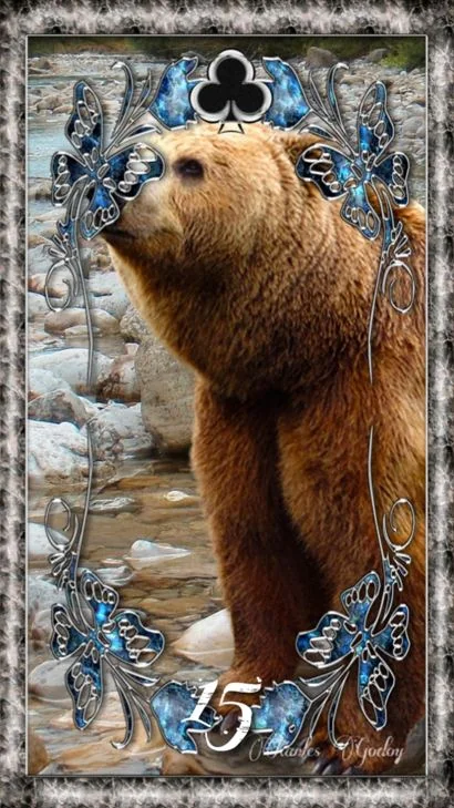 Carta 15 &mdash; Urso